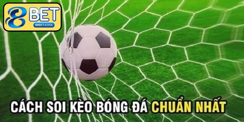 Chia sẻ kinh nghiệm soi kèo bất bại